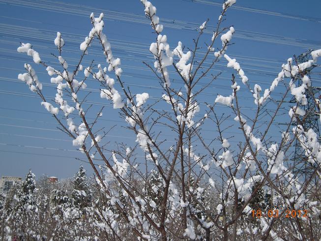 DSCN1276.JPG
