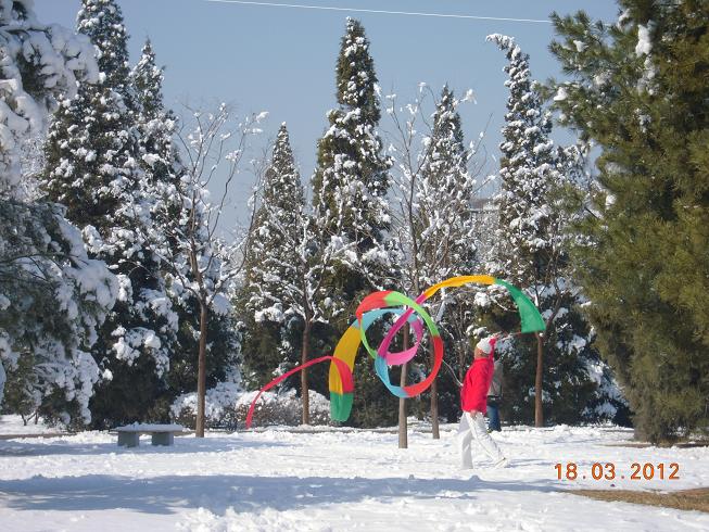 DSCN1265.JPG