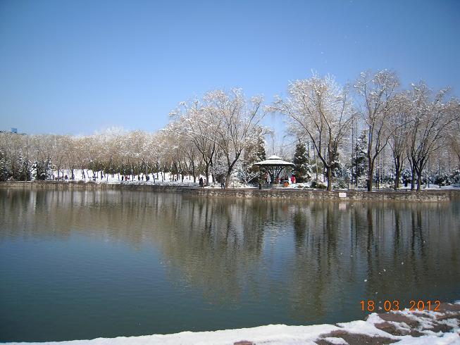 DSCN1235.JPG