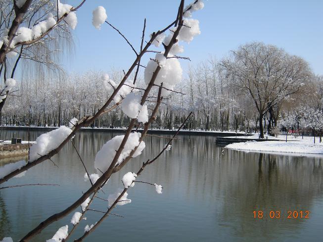 DSCN1207.JPG