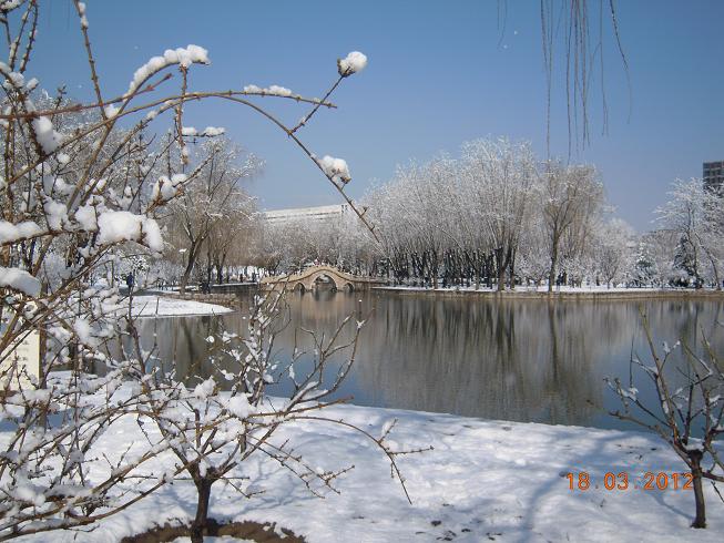 DSCN1178.JPG