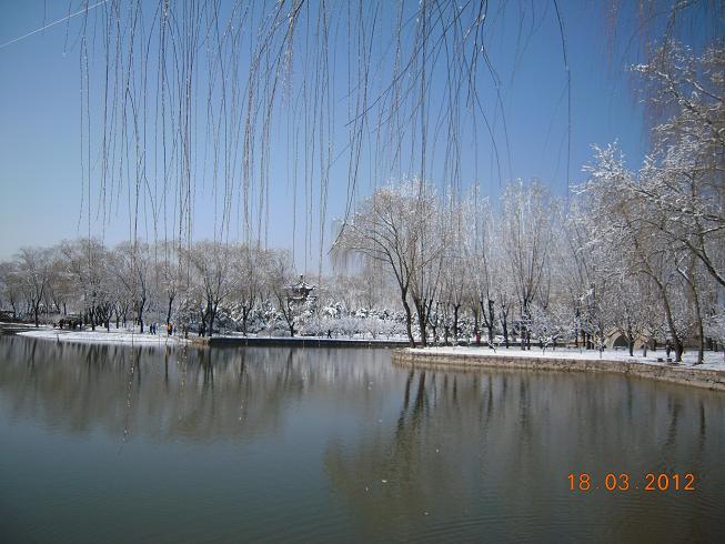 DSCN1167.JPG