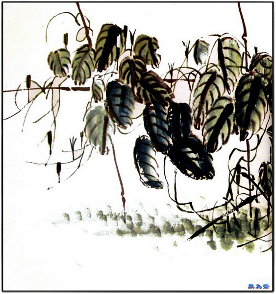 709035466334620418.jpg