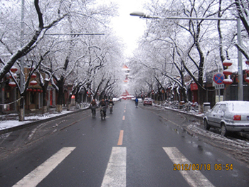 IMG_1655.JPG