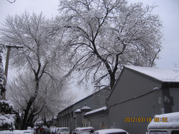 IMG_1654.JPG