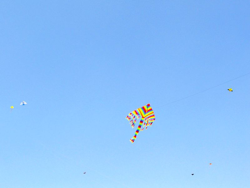 DSC08781.jpg