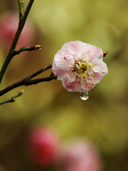 IMG_0014缩.jpg