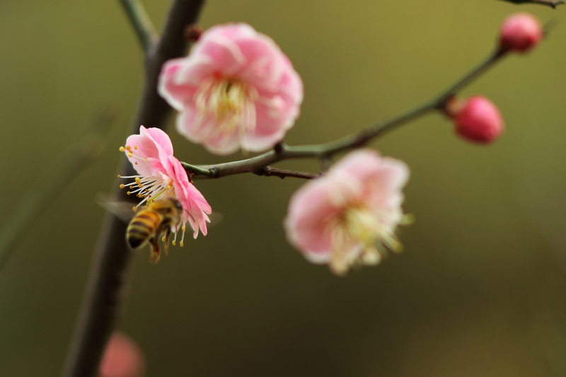 IMG_0016缩.jpg