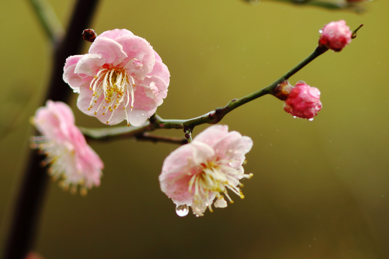 IMG_0018缩.jpg