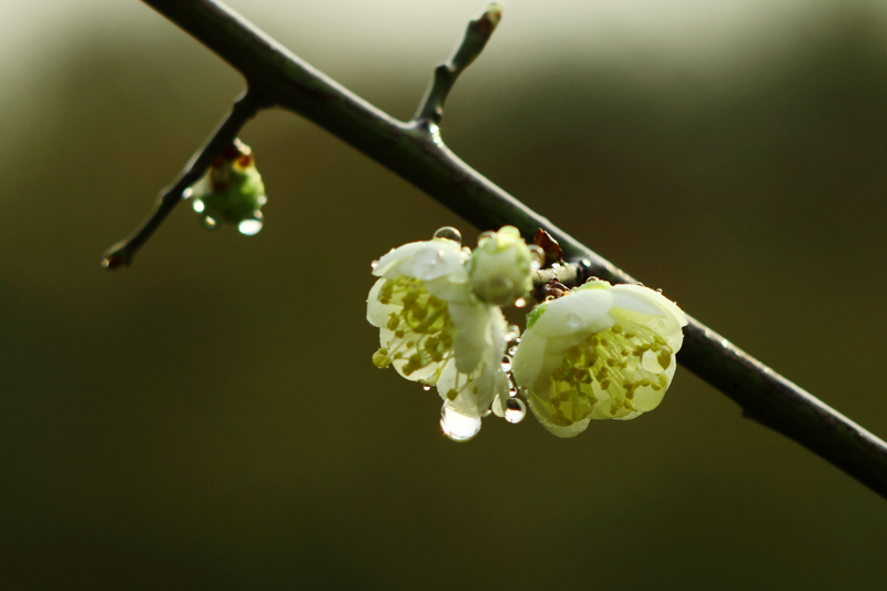 IMG_0027缩.jpg