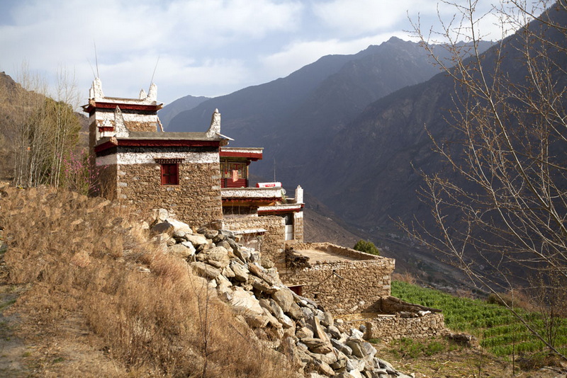 IMG_8869.jpg
