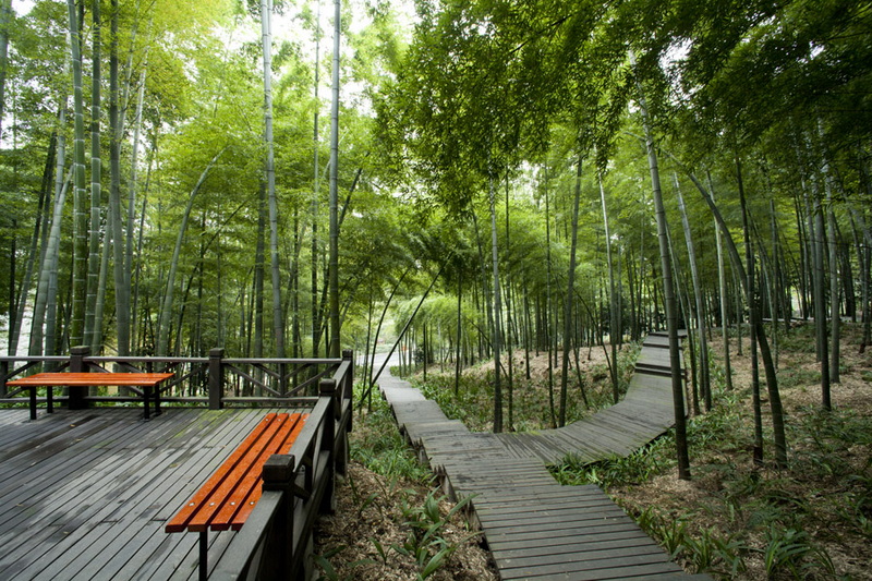 缙云山竹道