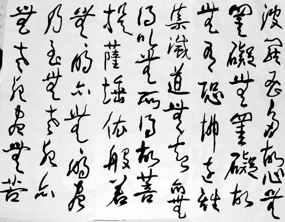 照片 008.jpg