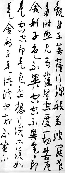 照片 009.jpg