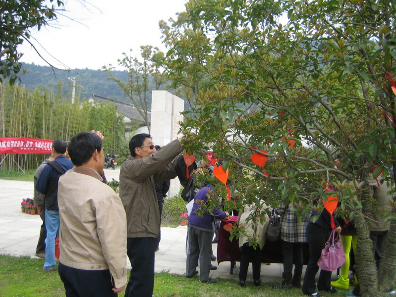 照片 437.jpg