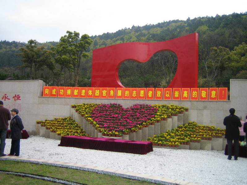 照片 441.jpg
