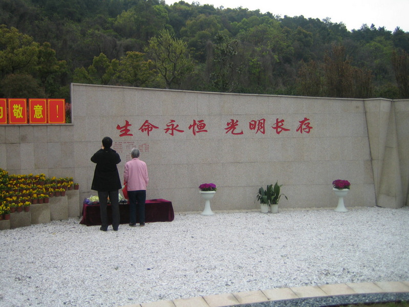 照片 443.jpg