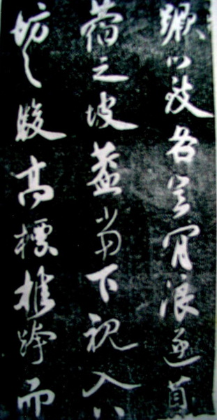 CIMG0477.JPG