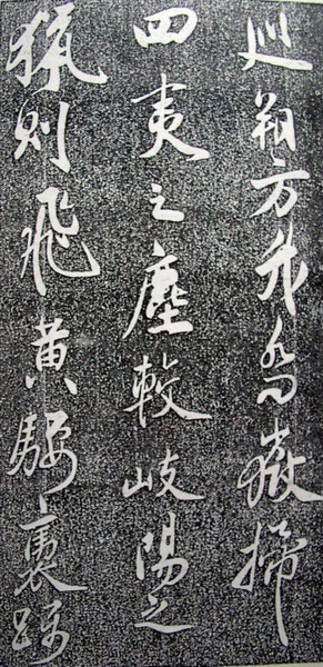 CIMG0491.JPG
