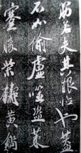 CIMG0479.JPG