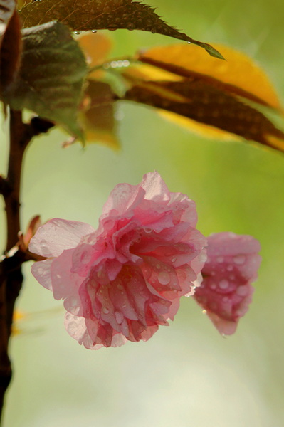 IMG_0196缩.jpg