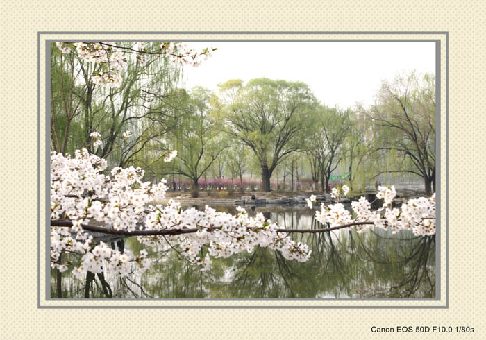 IMG_2279_conew1.jpg