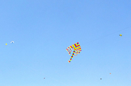 123056fl41jj1m42aklmkl.jpg
