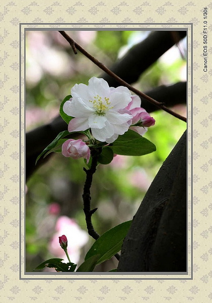IMG_2421_conew2.jpg
