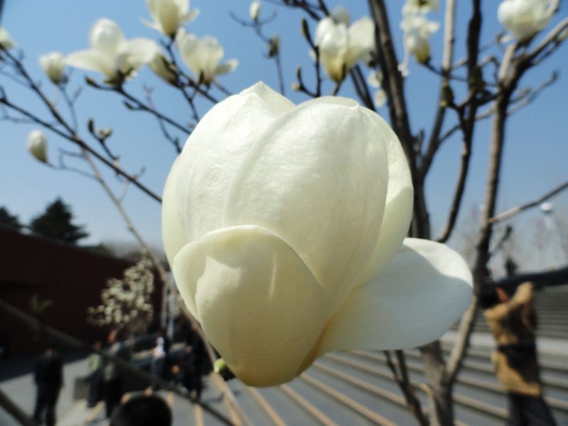 DSC09082.jpg
