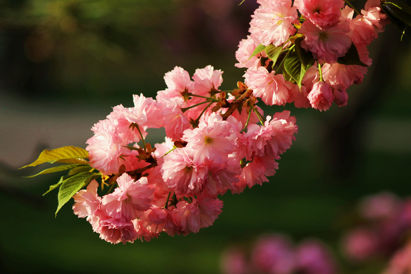 IMG_0057-1缩.jpg