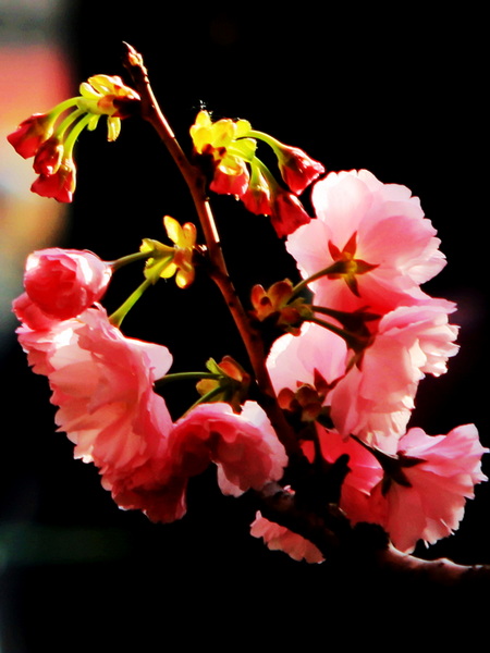 IMG_0120-1缩.jpg