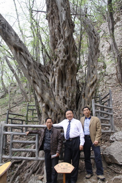 在皇藏峪.jpg