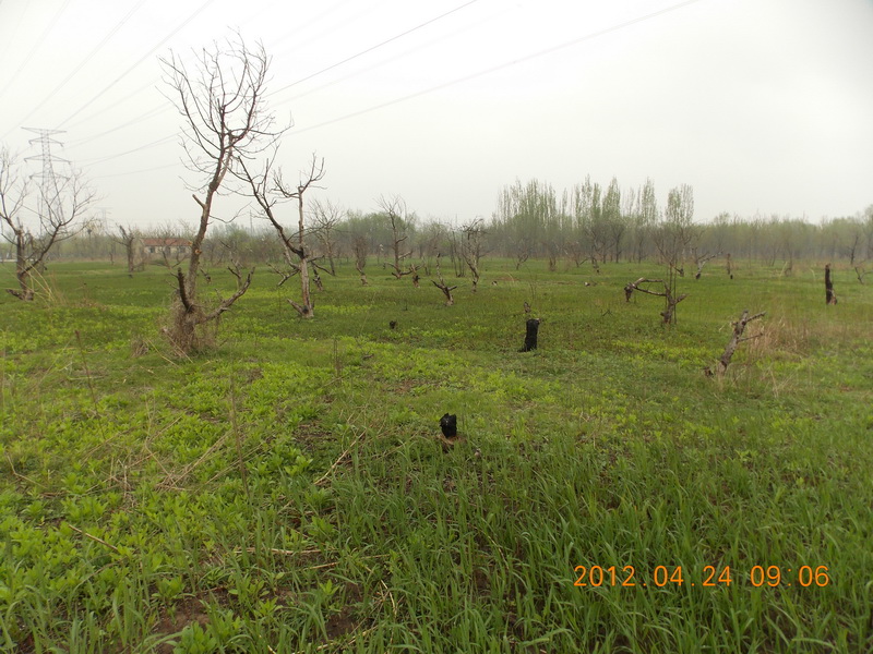 DSCN0020.jpg