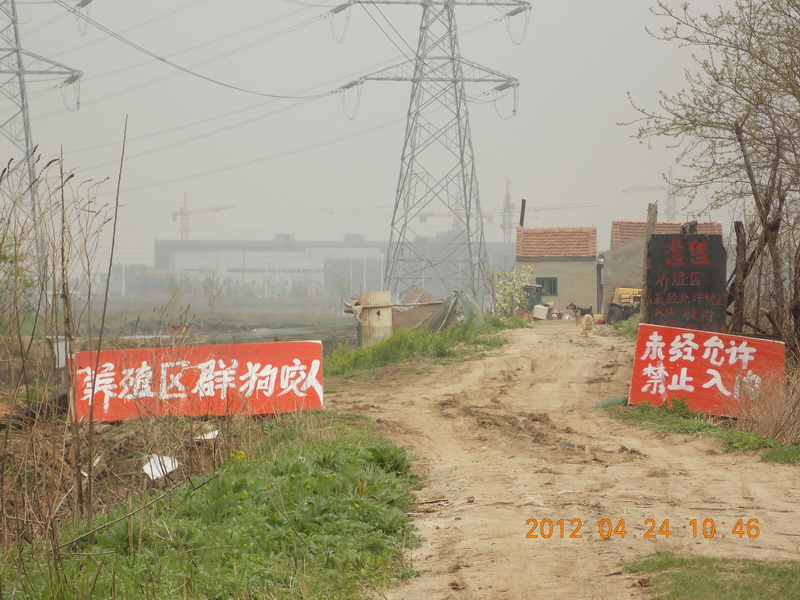 DSCN0038.jpg
