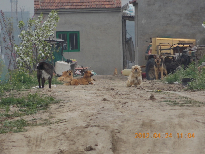 DSCN0042.jpg