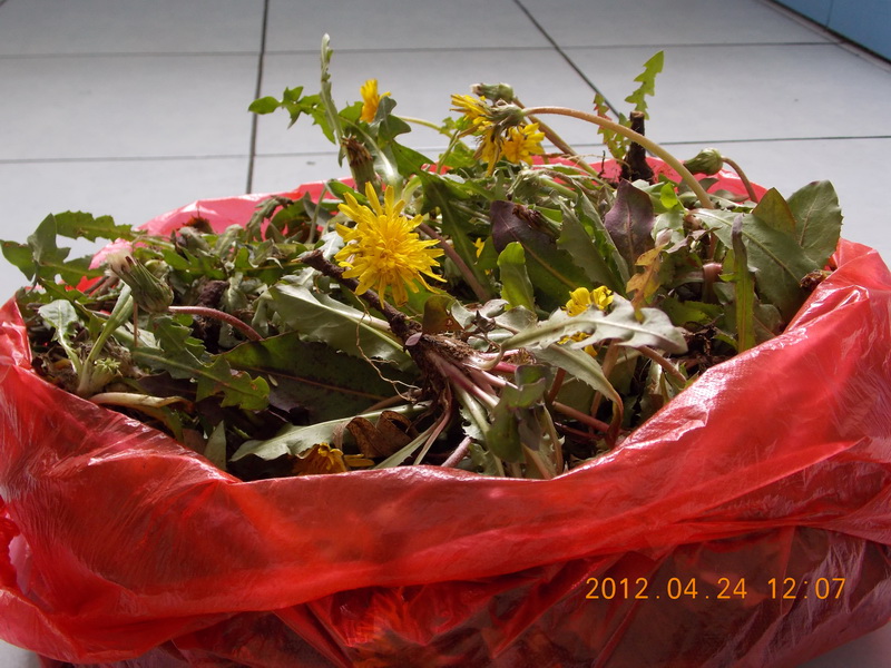 DSCN0049.jpg