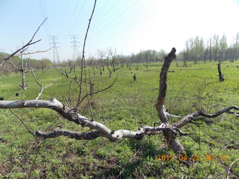 DSCN0058.jpg