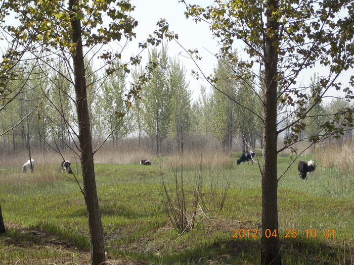 DSCN0070.jpg