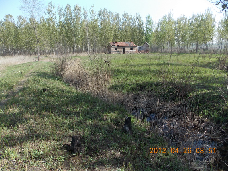 DSCN0064.jpg