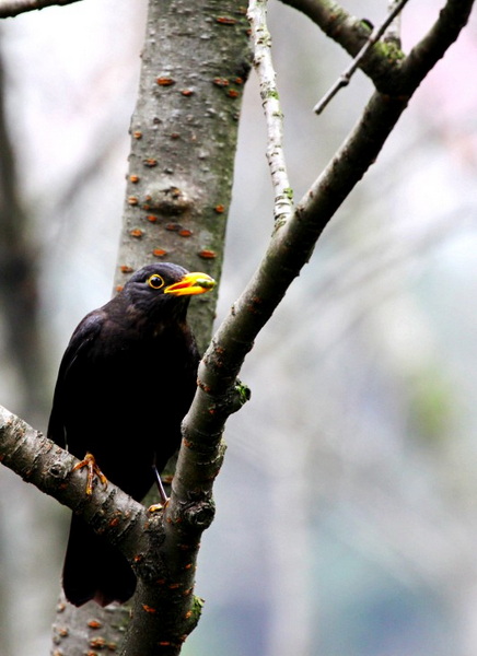 IMG_9466_conew2.jpg