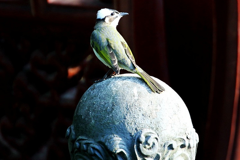 IMG_4257_conew1.jpg