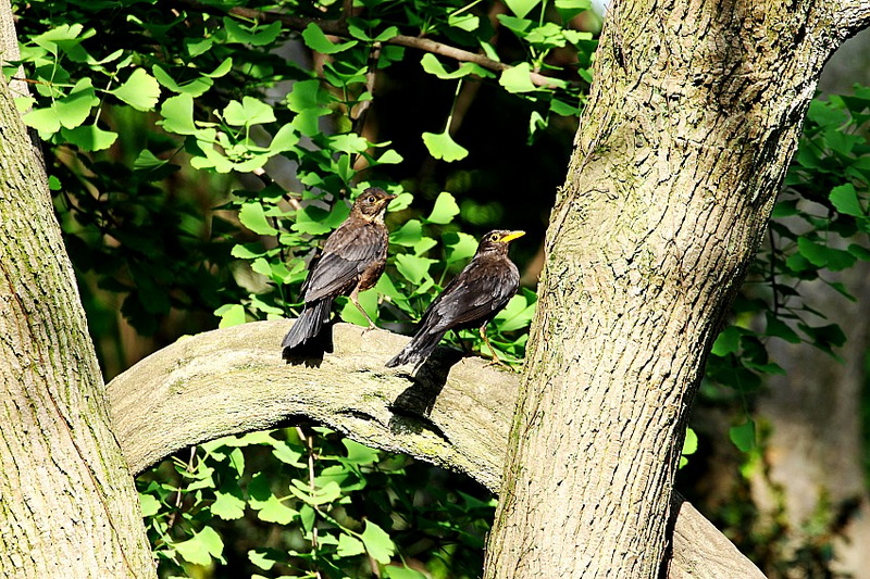 IMG_4172_conew1.jpg