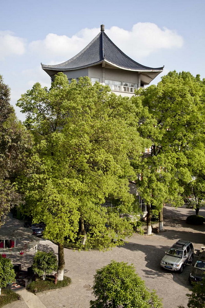 登高望远