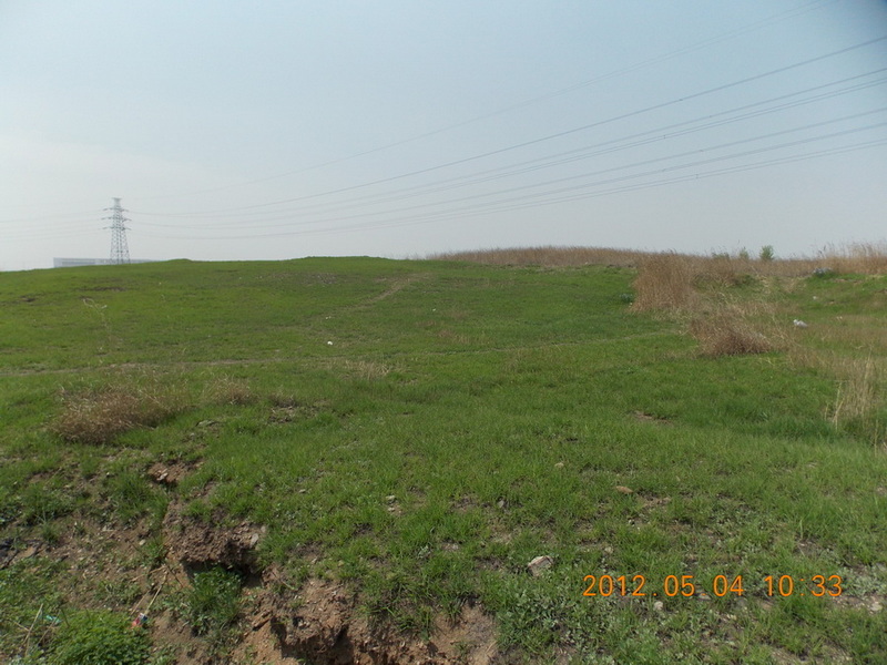 DSCN0142.jpg