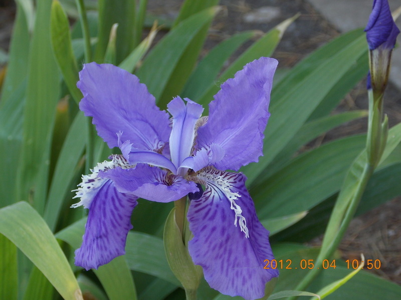 DSCN0146.jpg