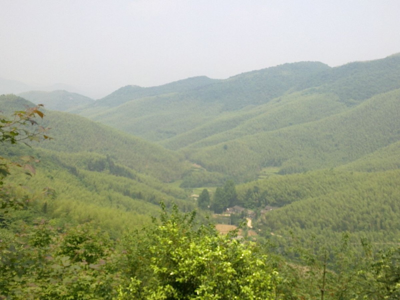 02.jpg