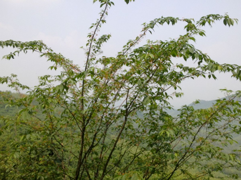04.jpg