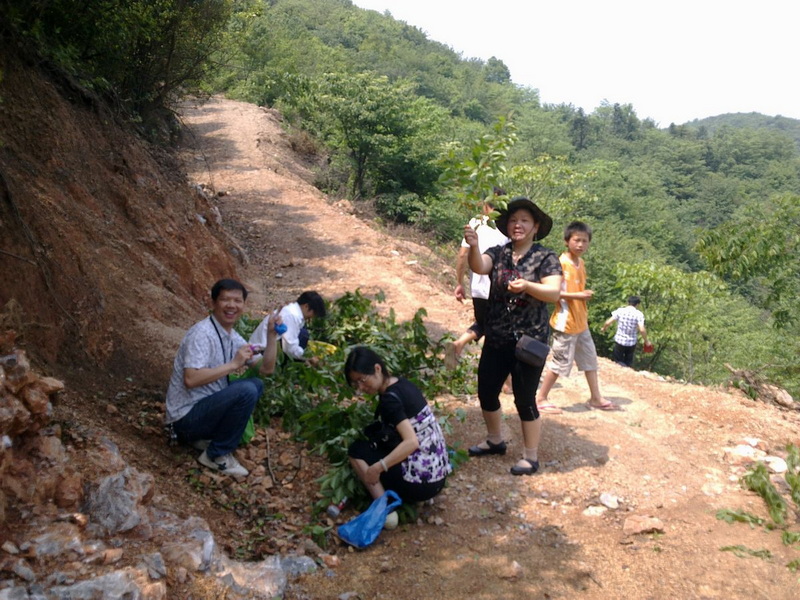 06.jpg