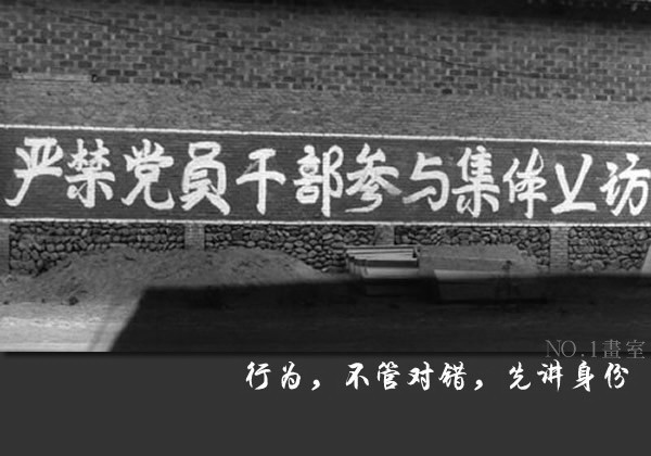 CIMG0489.JPG