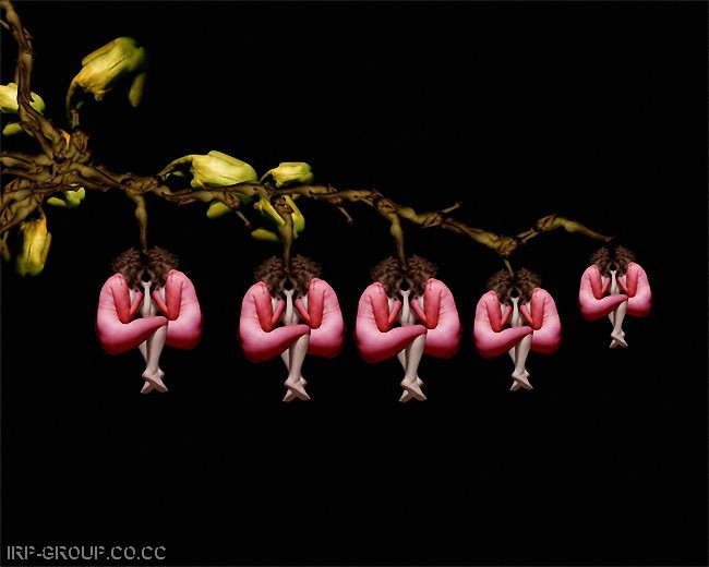 B.jpg